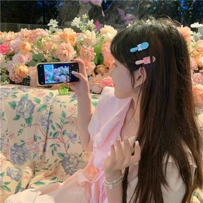 最后的维米尔